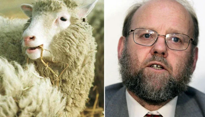 British scientist Ian Wilmut, who died at the age of 79(R), and Dolly, the sheep he helped clone. (L) — AFP