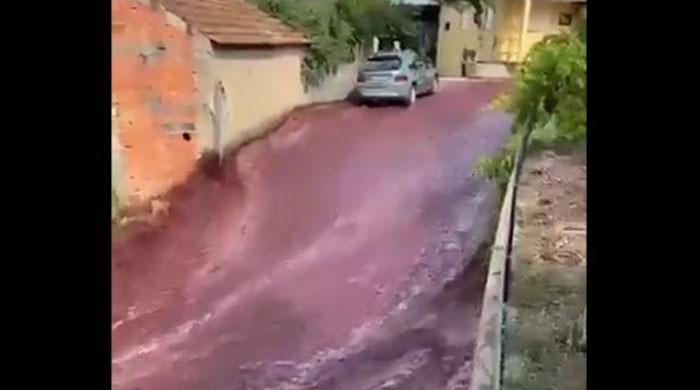 WATCH: Red wine floods small Portuguese town after 600,000 gallons spill - Vimarsana News