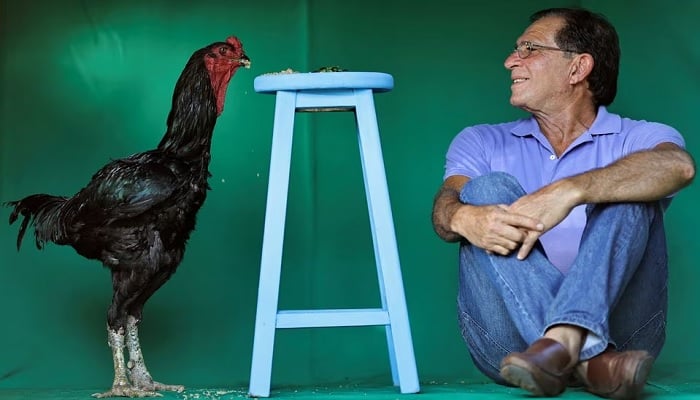 Agronomist Rubens Braz poses with his Giant Indian Urubu rooster named Galalau at the Avicultura Gigante, which breeds giant roosters for small-scale meat production and ornamental purposes, in Formosa, Goias State, Brazil September 1, 2023.—Reuters