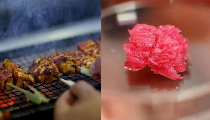 Lab-grown chicken from GOOD Meat is grilled (L) and a Petri dish with cultured Wagyu beef at a lab at the university in Suita, Osaka Prefecture, Japan October 5, 2021. — Reuters