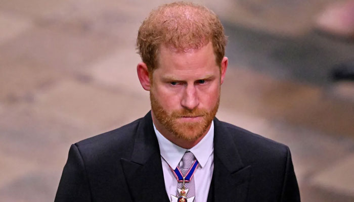 Prince Harry’s chosen a land with ‘no boundaries or hesitations’ after Megxit