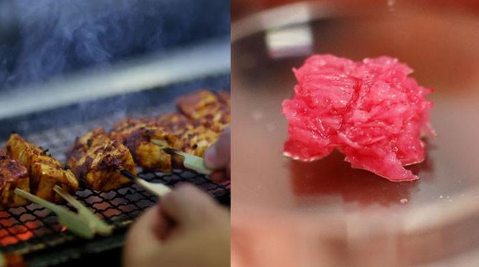 Can lab-grown meat be halal, kosher? experts weight in - Vimarsana News