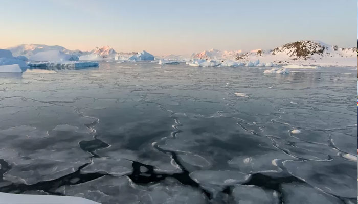 Very thin sea-ice in the foreground - this is a type of sea-ice called nilas that forms in very low wind conditions.—X@RobbieMallett