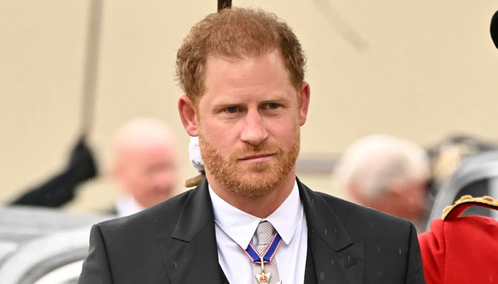 Prince Harry’s life of ‘absurd privilege’