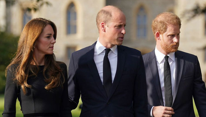 Chances of Prince Harry’s reconciliation with Prince William, Kate