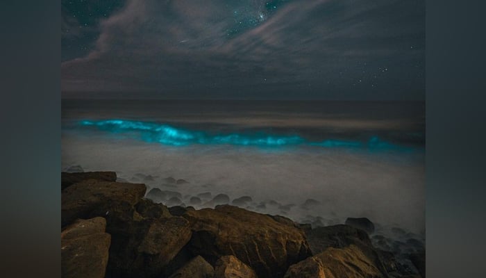 This picture released on September 3, 2023, shows bioluminescent plankton lighting up on the shore of Point Mugu in California. — Instagram/@i_vision805