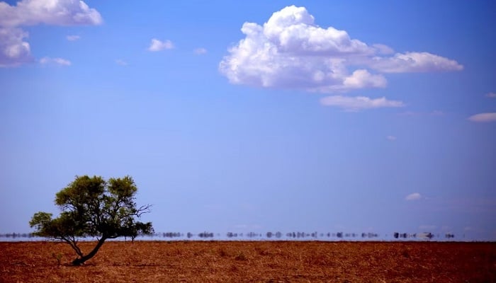 Heat haze can be seen in a paddock on May McKeowns 6000 acre (2400 hectare) property of Long View near the town of Come-by-Chance, located over 700 km north-west of Sydney in Australia. — Reuters/File