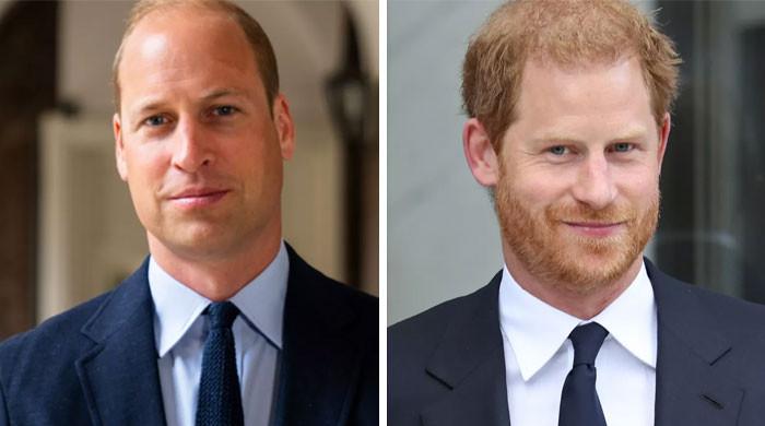 Prince Harry cannot ignore ‘heroic’ Prince William while in US