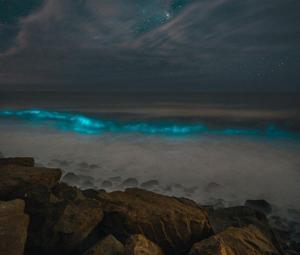 Luminous sea creatures light up California coast