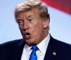 Donald Trump says his instincts led him to believe about election fraud