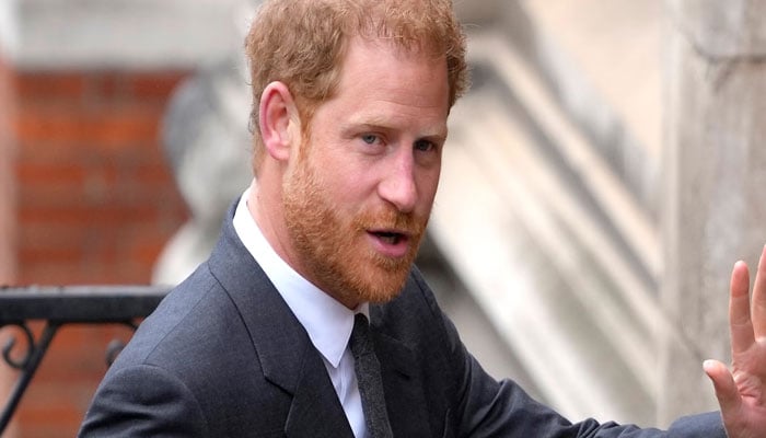 Prince Harry has full plate as he comes to grip with new job