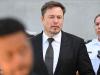 No more free X: Elon Musk plans paywall to block millions of fake accounts 