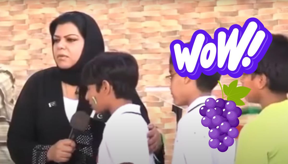 A viral video of former PPP senator Sehar Kamran was turned into a meme. — Geo.tv illustration