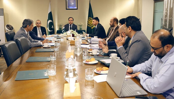 Caretaker Federal Minister for Information Technology and Telecommunications Dr Umar Saif chairing the 58th meeting of  PSEB. — IT Ministry