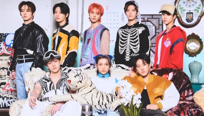 Stray Kids members get injured in car crash, cancel shows