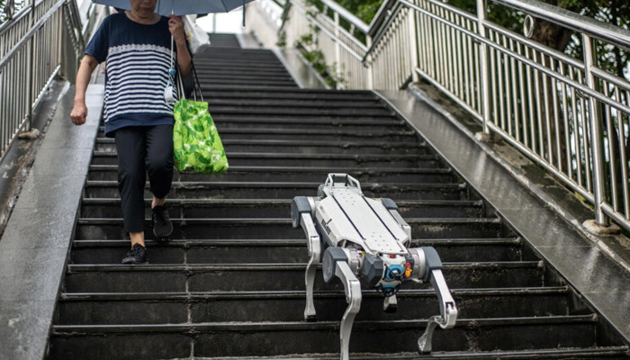 A robot dog walks down a pedestrian bridge in the Asian Games host city Hangzhou in China. — AFP