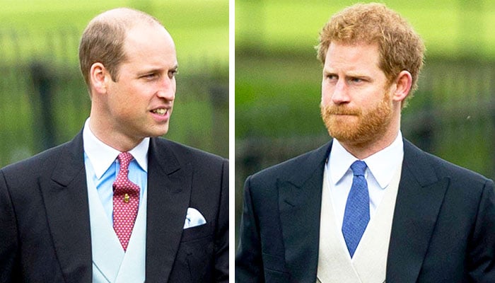Prince William and Prince Harry have ‘too much water’ going under the bridge