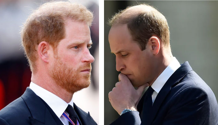 Prince William is ‘mourning’ Prince Harry