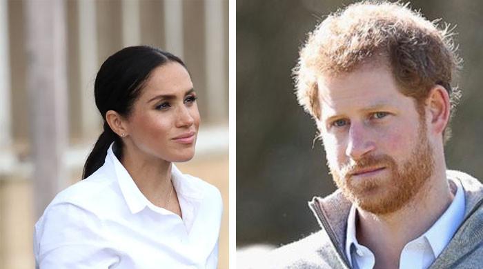 Meghan Markle, Prince Harry are a ‘renegade duo’ looking to ‘get’ royal