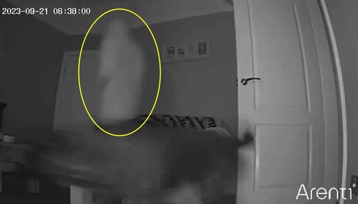 In this picture released on September 28, 2023, shows a black dog in front of the camera running while in the background a white ghost-like figure is apparent in this shot taken by a security camera. — New York Post via Kennedy News and Media