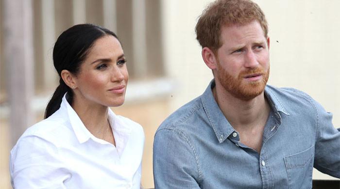 Prince Harry leaves Meghan Markle 'frustrated' - Vimarsana News
