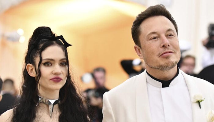 Grimes petition comes weeks after she publicly begged her ex Elon Musk to let her see her kids