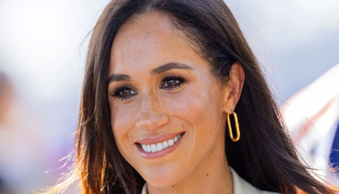 Thin skinned Meghan Markle could never be politician: Expert