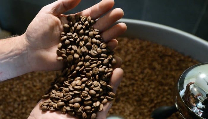 Image showing a man with coffee beans in his palms — AFP/Files
