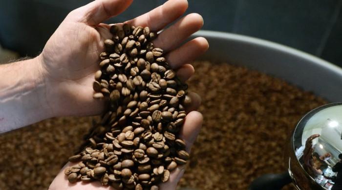 BEANLESS BREW: Coffee startup Atomo grinds out groundbreaking idea to save forests - Vimarsana News