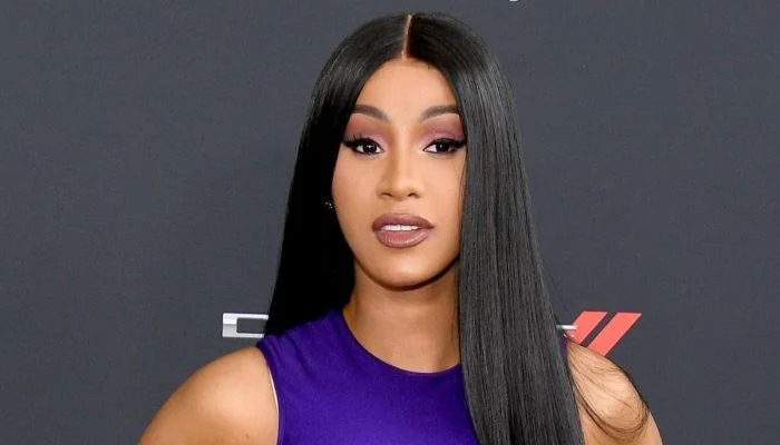 TikTok rescues Cardi Bs outfit mid-flight