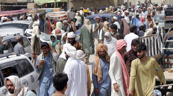 Not only Afghan refugees, action to be taken against all illegal immigrants: FO