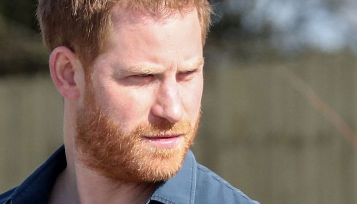 Prince Harry is working with a ‘patchy’ track record and can’t be trusted’