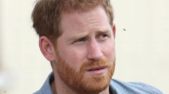 Prince Harry is looking worse than the 'disgraced ducal potato' - Vimarsana News