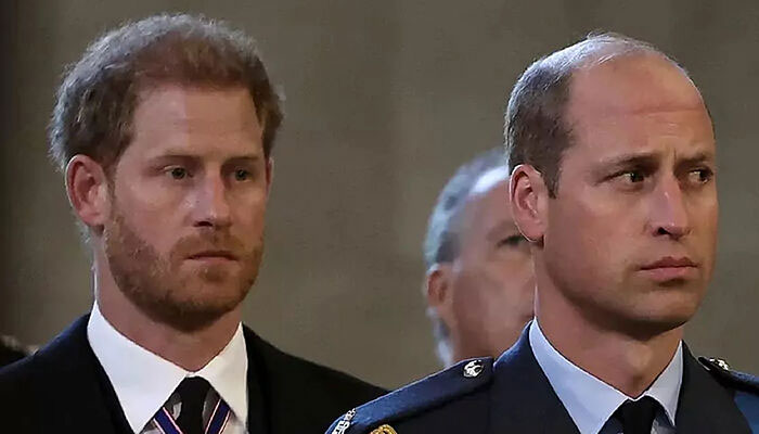 Prince Harry ‘very angry’ at ‘his best friend and mortal enemy’ Prince William