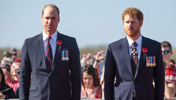 Williams ‘jealousy’ led him to pressure Harry into removing ‘confidence boosting’ feature