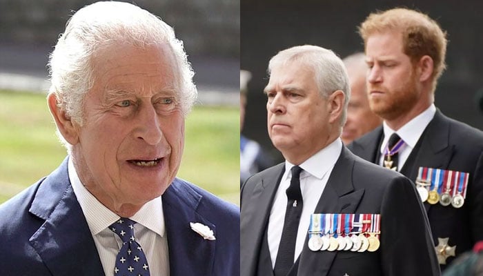 Real reason why King Charles chose Prince Andrew over Prince Harry