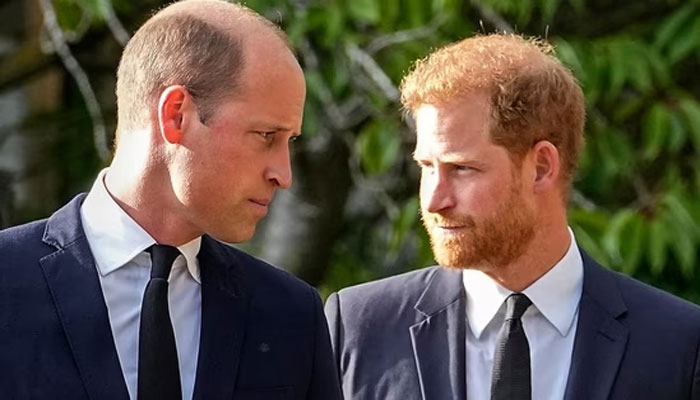 Harry dubbed ‘immature’ for remembering argument with William ‘word by word’