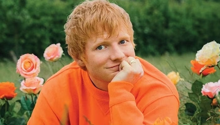 Ed Sheeran builds a shocking thing on his lawn