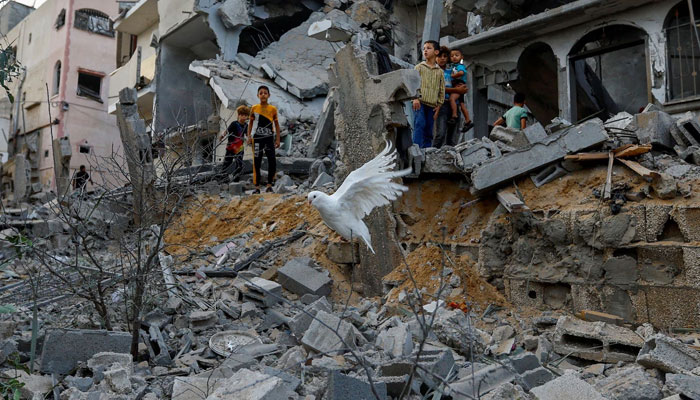 A dove flies over the debris of houses destroyed in Israeli strikes, in Khan Younis in the southern Gaza Strip. —Reuters
