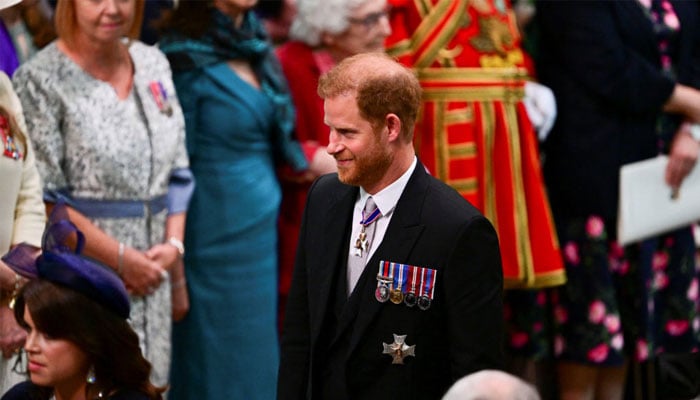 Prince Harry wants ‘open-door’ policy to the UK