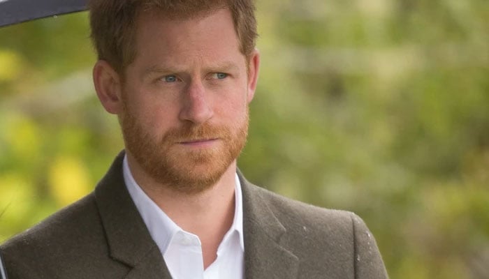 Prince Harry’s plans for 2024 to pose ‘striking’ contrast