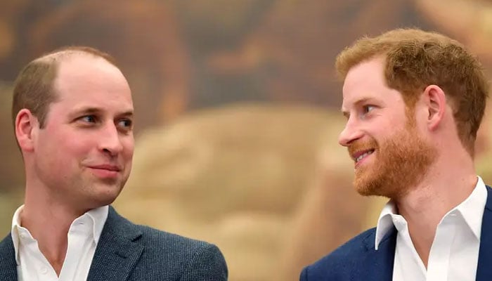 Prince William is angry Prince Harry has partnership with heartless Netflix
