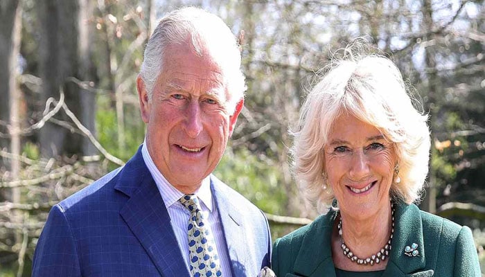 King Charles makes Queen Camilla grandkids life like fairytale