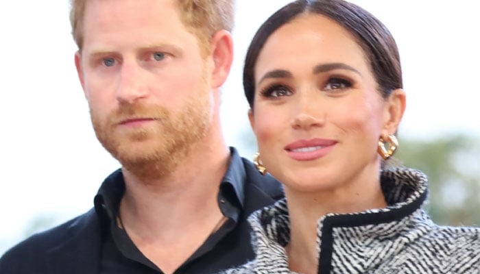 Prince Harry, Meghan Markle are complete ‘clowns’ and ‘ridiculous’