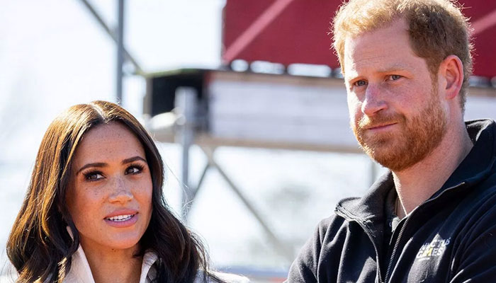 ‘Hypocrites’ Prince Harry, Meghan Markle desperate to become ‘social climbers