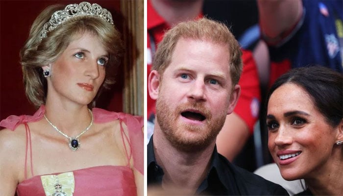 Prince Harry’s letting Netflix make TV sausage-making mince out of Diana