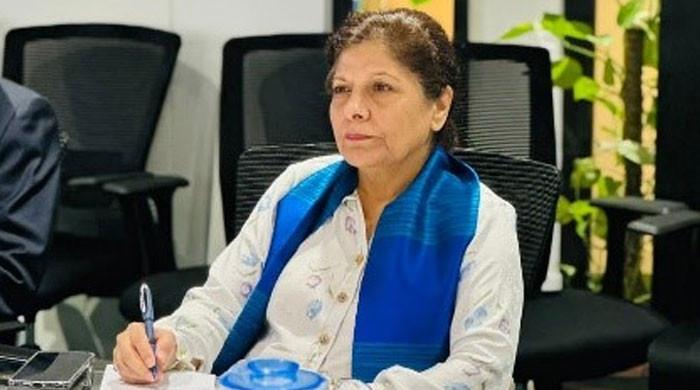 Govt to only finance important projects for provinces: SIFC - Vimarsana News