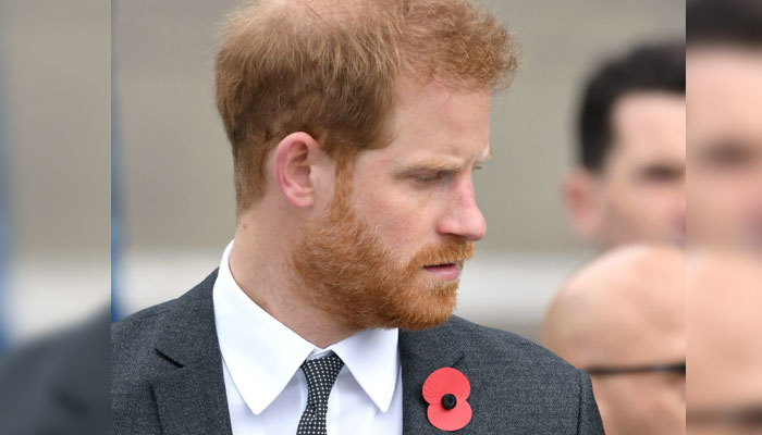 Prince Harry ‘believes’ more money equals security