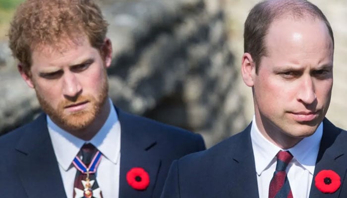 Prince William, Harry would see whats the point of fighting after King Charles