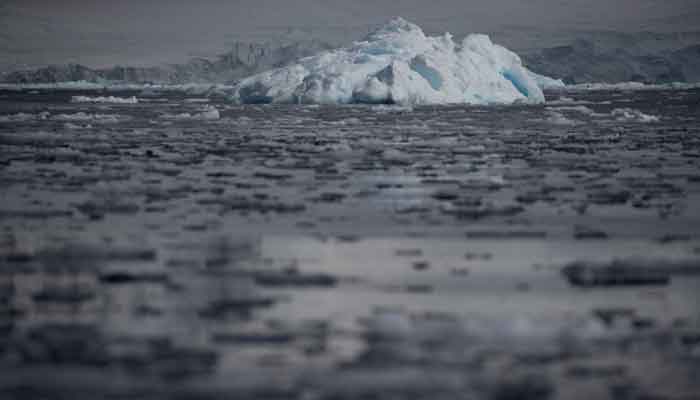 Small chunks of ice float on the water near Fournier Bay, Antarctica, February 3, 2020. —Reuters